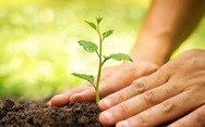Bệnh nhân Ấn Độ lành COVID được khuyên trồng cây trả lại oxy cho tự nhiên