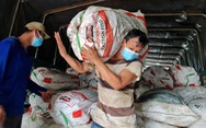 Dầm mưa bốc 22 tấn bắp, chanh bán giá vốn giúp nông dân miền Tây