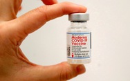 Okinawa đình chỉ sử dụng vắc xin Moderna do nhiễm tạp chất