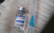 Thủ tướng giao Bộ Y tế hỗ trợ Vimedimex mua vắc xin Sputnik V