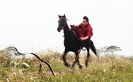 Cuộc thi ‘Lan tỏa năng lượng tích cực 2022’: Tái hiện lịch sử Việt qua bộ môn cưỡi ngựa bắn cung