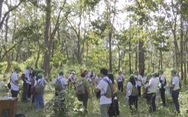 Cuộc thi ‘Lan tỏa năng lượng tích cực 2022’: Hiểu rừng để thêm yêu rừng