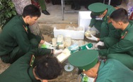 20kg ma túy đóng gói in chữ nước ngoài trôi dạt vào vùng biển Quảng Ngãi