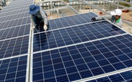 Vụ tạm ngưng trả tiền điện mặt trời: 'Chủ đầu tư kẹp hồ sơ môi trường vào thì điện lực sẽ trả tiền'