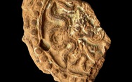 Phát hiện nhiều hiện vật quý qua khai quật khảo cổ học tại Di sản văn hóa thế giới Thành nhà Hồ