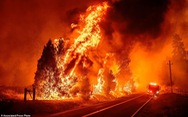 Cháy rừng kinh hoàng ở California, hơn 10.000 người sơ tán