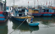Quảng Nam còn 18 tàu cá hoạt động ở Hoàng Sa thuộc vùng nguy hiểm