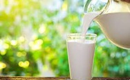 Ireland muốn tăng cung cấp sữa, thịt heo và hải sản cho thị trường Việt Nam