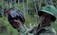 'Hiệp sĩ rừng xanh' Tăng A Pẩu: Thú rừng cũng có số phận