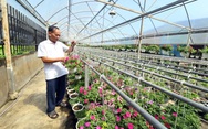 Xây nhà tạm trên đất nông nghiệp: Trúng nhu cầu làm nông nhưng tránh biến tướng