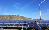 Hé lộ loạt ông lớn đầu tư điện tái tạo có nguy cơ bị thu hồi tiền mua bán điện