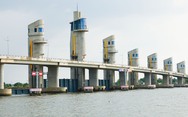 Đóng 9 đến 11 van cống Cái Lớn - Cái Bé để điều tiết nước, hạn chế ngập úng do triều cường
