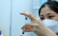 TP.HCM cảnh báo nguy cơ dịch sốt xuất huyết bùng phát sớm
