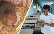 Chàng trai gốc Nam Định kiếm hàng tỉ đồng/năm nhờ nuôi động vật hoang dã