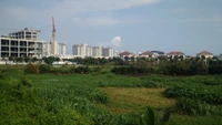 Thị trường bất động sản TP.HCM qua một quý ít sôi động Thị trường bất động sản TP.HCM qua một quý ít sôi động