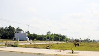 Đất nền TP.HCM giảm nhiệt chứ chưa giảm giá mạnh Đất nền TP.HCM giảm nhiệt chứ chưa giảm giá mạnh