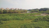Có nên mua đất nền lúc này? Có nên mua đất nền lúc này?