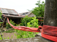 Dân Cà Mau lấy lưới, ống nước "neo" nhà chống bão