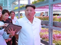 Bí mật về tỉ giá hối đoái của Triều Tiên