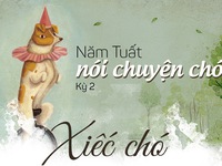 Năm Tuất nói chuyện chó: Xiếc chó