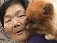 Bà cụ Hàn Quốc cõng chó trên vai suốt ngày