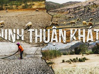 Ninh Thuận khát cháy ngay đầu mùa khô