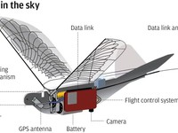 Trung Quốc giám sát người dân bằng drone robot hình chim