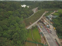 Singapore làm cầu vượt trồng cây rừng dành cho động vật