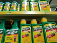 Bayer phải bồi thường 80,9 triệu USD trong vụ thuốc diệt cỏ Roundup