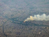 Thảm họa nhà thờ Đức Bà Paris: "Không ngờ gỗ sồi già cháy nhanh thế"