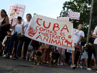 Hàng trăm người dân Cuba đã biểu tình ôn hòa ở Havana