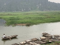 Nhiều loài quý hiếm ở Việt Nam bị đe dọa tuyệt chủng
