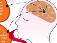 Tác hại ghê gớm của ma túy đá