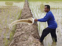 Thái Lan yêu cầu Trung Quốc, Lào, Myanmar xả nước chống hạn ở Mekong