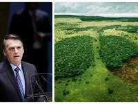 Tổng thống Brazil: Rừng Amazon chỉ là lá phổi của Brazil