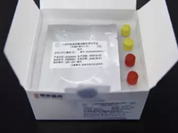 Trung Quốc ‘làm dữ’ khi Ấn Độ đòi trả các bộ xét nghiệm kháng thể virus corona