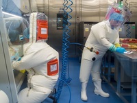 Reuters: Trung Quốc cáo buộc virus corona xuất hiện ở Mỹ trước Vũ Hán