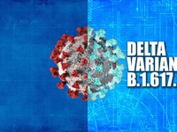 CDC Mỹ: Biến thể Delta lây nhanh như thủy đậu, mạnh hơn cúm mùa