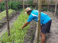 Cuộc thi ‘Lan tỏa năng lượng tích cực 2021’: Thầy giáo trồng rau, làm lồng chim mưu sinh mùa dịch