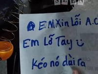 Ảnh vui 22-10: 