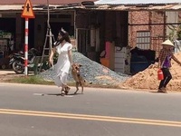 Ảnh vui 22-11: Chú chó bị cô dâu bắt về dự đám cưới của mình