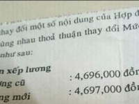 Ảnh vui 30-11: Được lên lương sau một năm làm việc cật lực