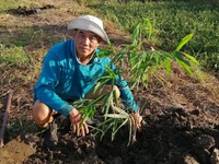 Gặp gỡ những U70 