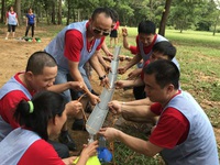 5 trò team building 