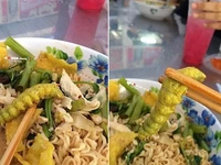 Ảnh vui 1-9: Tô mì với chiếc topping đầy đủ 