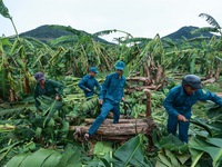 Những bài học sau bão Noru