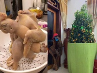 Ảnh vui 18-1: Loạt hình ảnh chứng minh 