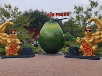 Ảnh vui 3-1: Mèo Bến Tre xin chào mèo cả nước nhe!