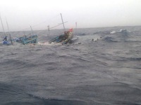 Phản đối việc tàu Trung Quốc đâm chìm tàu cá Việt Nam