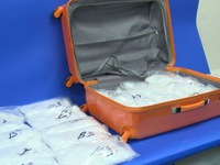 Úc bắt 275kg ma túy đá giấu trong container